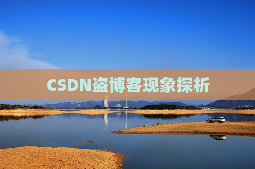 CSDN盗博客现象探析